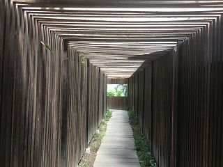 888054.JPG